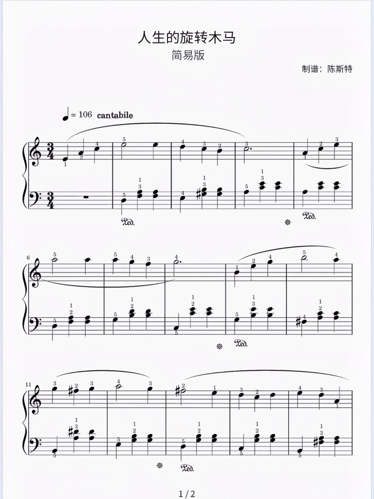 《人生的旋转木马》（普通难度版）五线谱-带指法 难度：⭐⭐ 程度：三级- 斯特音乐