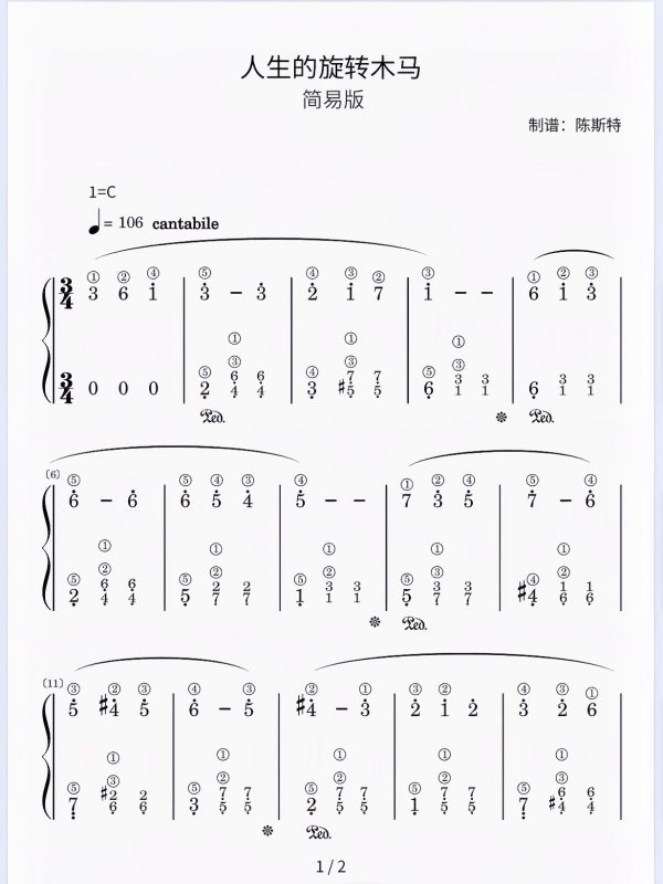 《人生的旋转木马》（普通难度版）简谱-带指法 难度：⭐⭐ 程度：三级- 斯特音乐